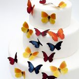 ILUSTRAČNY OBRAZOK TORTY , na torte sú použité iné motýliky z inej sady tohto výrobcu. 