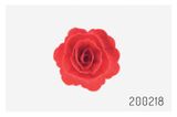 Ruže - hotové jedlé kvety - Marhuľové - 18 ks