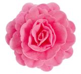 Ruža z jedlého papiera - maxi 12,5 cm - tmavá ružová