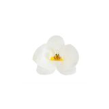 Orchidea biela - hotové kvety - VO BAL. 3 sady (30ks)