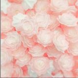 Ruže z jedlého papiera - Rúžovo Biele - tieňované - 18 ks