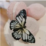 Elegantné Motýliky - Silikonová formička (3 veľkosti)
