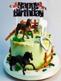 Dekorácia Happy Birthday s koníkom