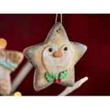 Hviezdička s Tučniakom - na vianočné ozdoby z cookies