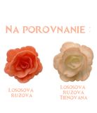 Ruže z jedlého papiera - Lososová rúžová (7cm) - 15 ks
