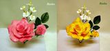 Renshaw- profi hmota na kvety - 10 x 250 g