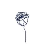 Veľká silueta kvetu - Ruža