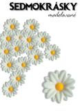 Sedmokrásky - cukrové kvety modelované - 100 ks - Biele
