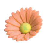 Cukrové kvety - Margarétky - Marhuľové - 48 ks