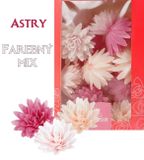 Astry (5,5 cm) - farebný mix č. 2 ( 18 ks)