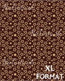 Chocotransfer XL formát - Zlaté Hviezdičky