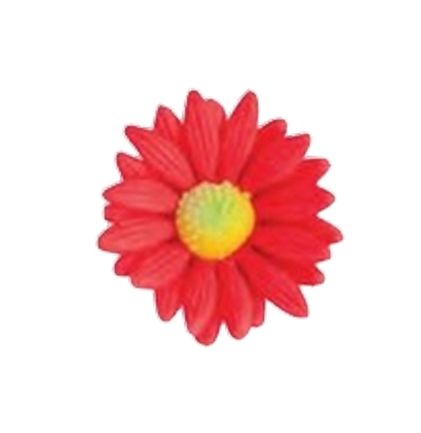 Cukrové kvety - Margarétky Červené - 2 x 48 ks