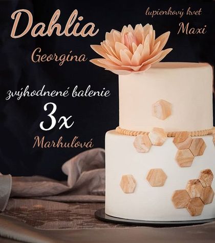 Dahlia Marhuľová - zvýhodnené balenie 3 ks