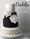 Dahlia - Maxi lupienkový kvet - Biela