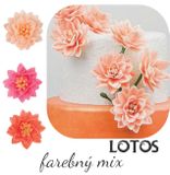Lotosové kvety - farebný mix ( 15ks)