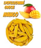 Lyofilizované ovocie - Mango
