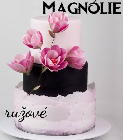Magnólie - ružový mix - 18 ks (VO 3 balenia)
