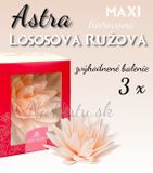 Maxi Astry (12,5 cm) - Losová ružová - výhodné balenie 3ks