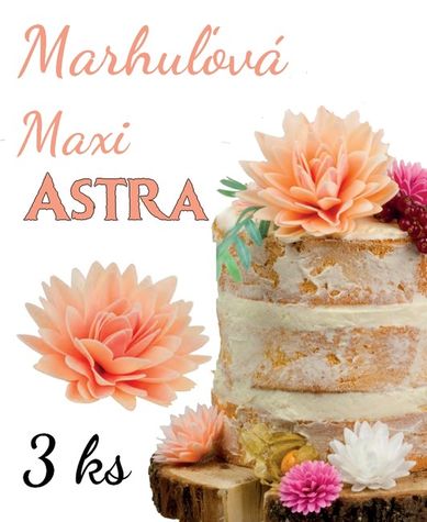 Maxi Astry (12,5 cm ) - marhuľové - výhodné balenie 3 ks