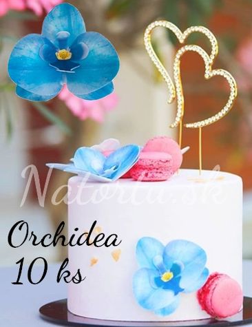 Orchidea modrá -hotové jedlé kvety - 10 ks