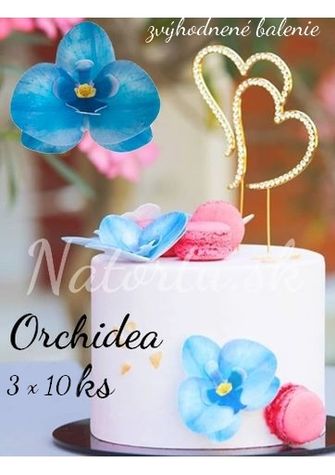 Orchidea modrá -hotové kvety - VO BAL. 3 x 10 ks