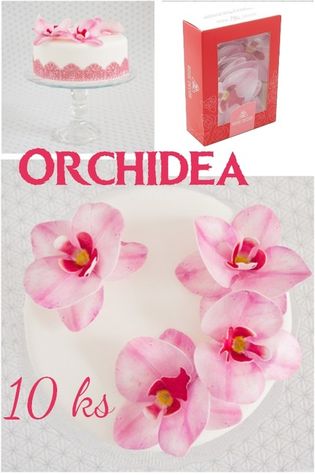 Orchidea Ružová - hotové jedlé kvety - 10 ks