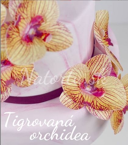 Orchidea tigrovaná - hotové jedlé kvety - 10 ks
