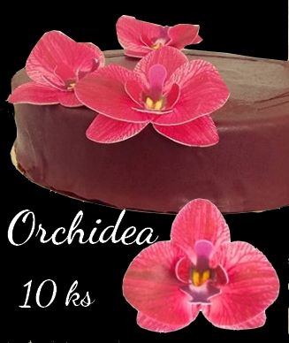 Orchidea červená -hotové jedlé kvety - 10 ks