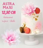 Maxi Astra - tieňovaná Bielo - Ružová