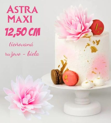 Maxi Astra - tieňovaná Bielo - Ružová