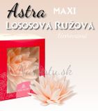 Maxi Astra (12,5 cm) - tieňovaná Losová ružová
