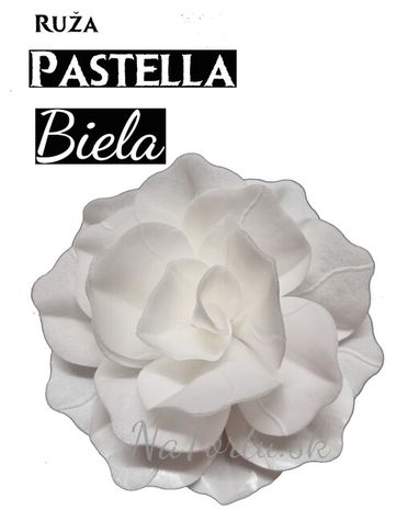 Ruža Pastella - Biela