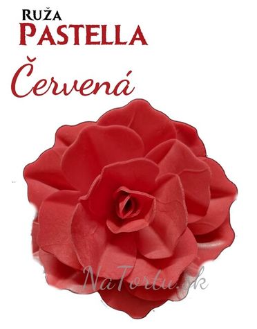 Ruža Pastella - Červená