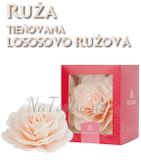 Hotová Ruža maxi 12,5 cm - tieňovaná Lososová