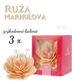 Ruže maxi 12,5 cm - marhuľová - zvýhodnené bal. 3 ks