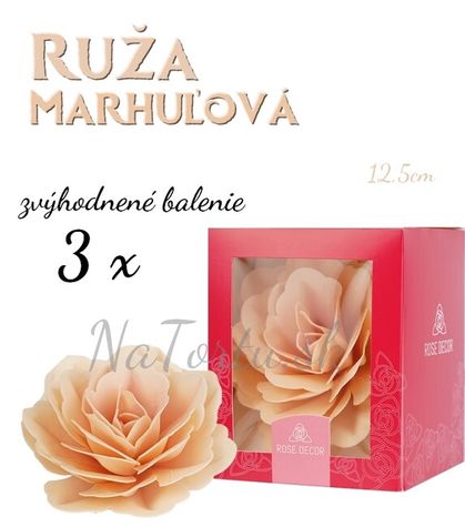 Ruže maxi 12,5 cm - marhuľová - zvýhodnené bal. 3 ks