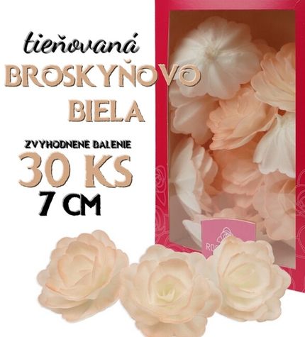 Ruže 7 cm - Tieňovaná broskyňovo-biela - VO balenie 2 x 15 ks