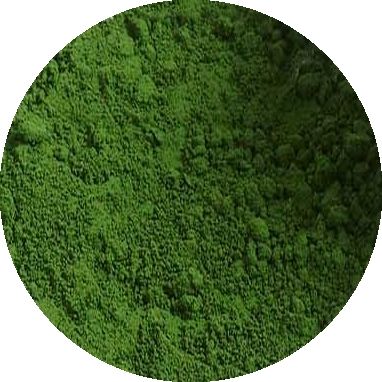 SF Blossom Tint - prachova farba zelená Foliage Green